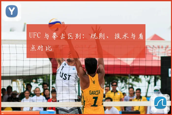 UFC 与拳击区别:规则、技术与看点对比