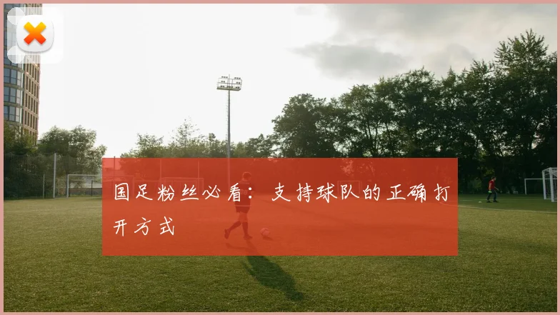 国足粉丝必看：支持球队的正确打开方式