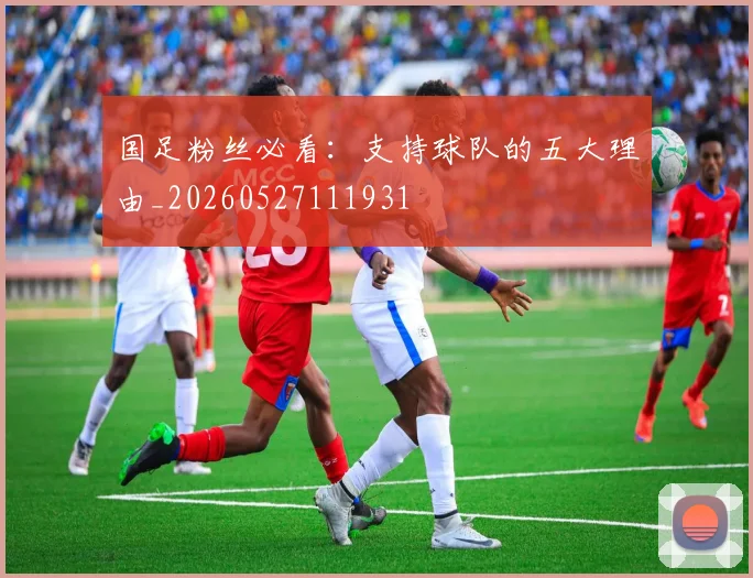 国足粉丝必看:支持球队的五大理由_20260527111931